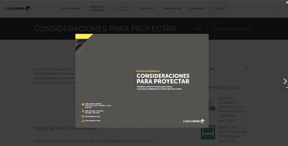 Consideraciones de Proyecto MLP